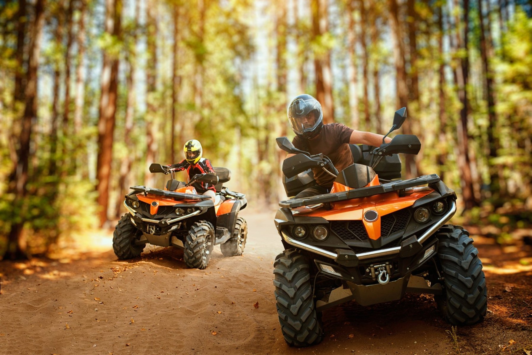 Vehículos todoterreno en un bosque